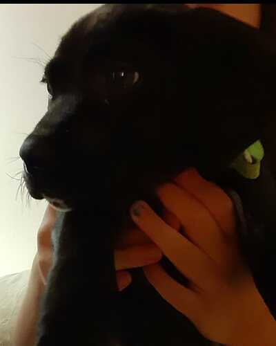 IMG_20200414_222417_160