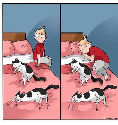 FB_IMG_1641554499405