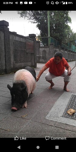 Screenshot_20220319-202807