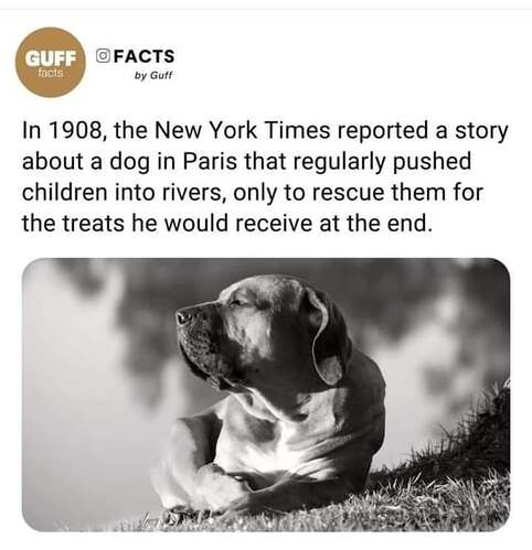 490541294_1063496219157933_8478306399540673035_n