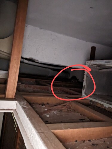 PXL_20231213_133949304~2