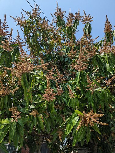 photo_2023-03-08_13-04-34