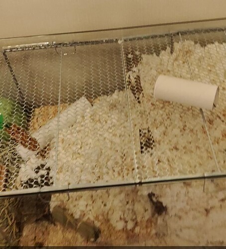 Screenshot_20220319_202413