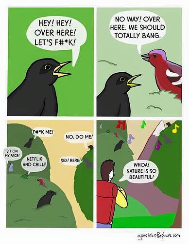 464908626_9499911276696465_1707399813681473800_n