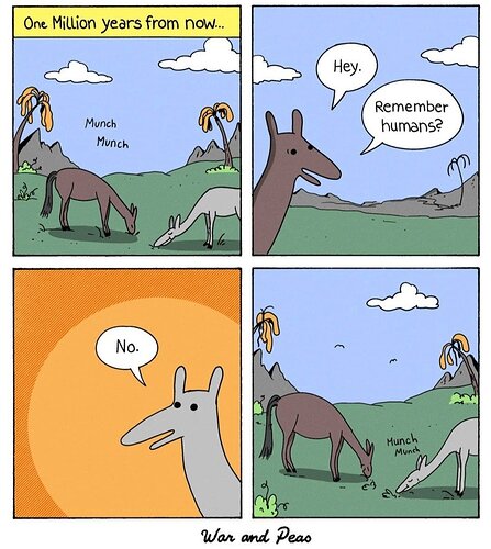 67cb2ae9e5d734ab419b94c502f93ce5657103d897d4ee9c497de