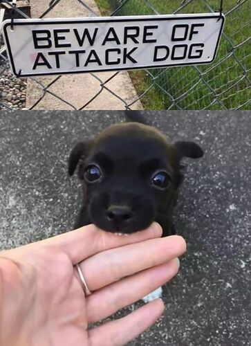 89454905_10160280139231840_8854293376711786496_o