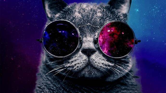 space cat