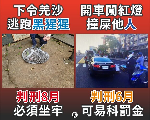 477376548_1155800123213640_7949914396239553122_n