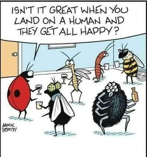 FB_IMG_1718133531824