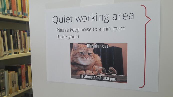 librarian cat is about to shush you (quiet working area)