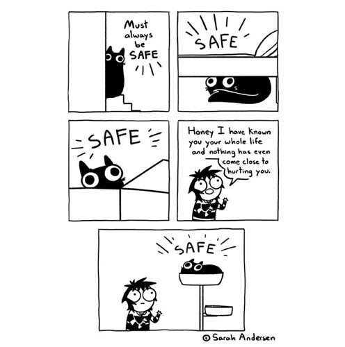 Screenshot_20200513-164714_Instagram