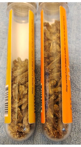 Editor_2_20240508182010