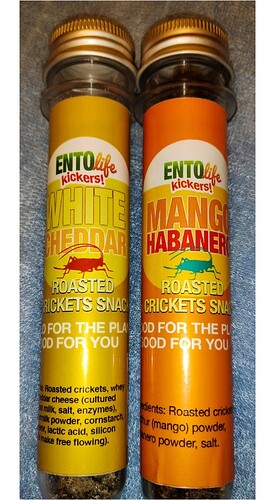 Editor_2_20240508181910