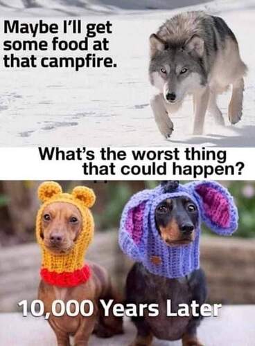 FB_IMG_1729295336800