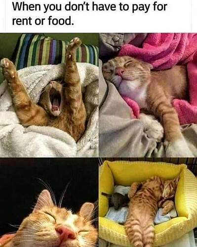 FB_IMG_1594075914504