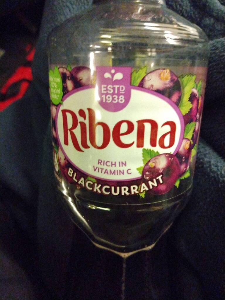 Japanese English Drink Ribena Food Drink Forumosa Japanese English Drink Ribena Food Drink Forumosa