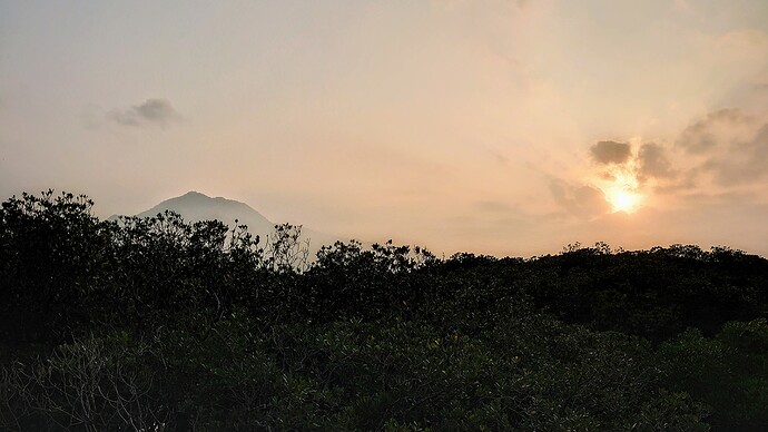 DSC_1531