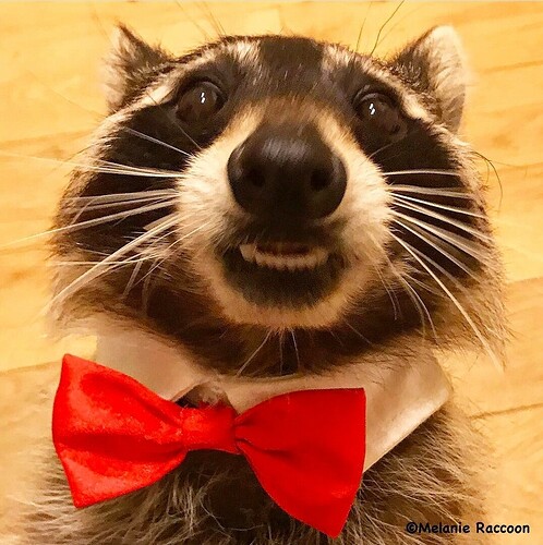 Screenshot_20201122-082134_Instagram