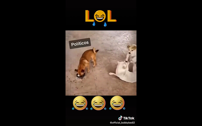 dog politicos electores 8