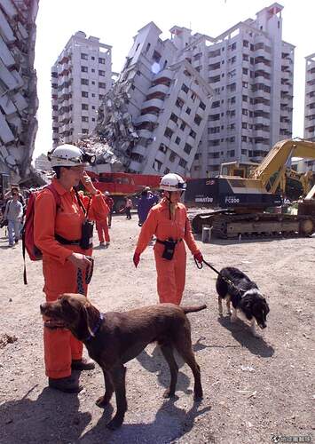 FB_IMG_1600639880755