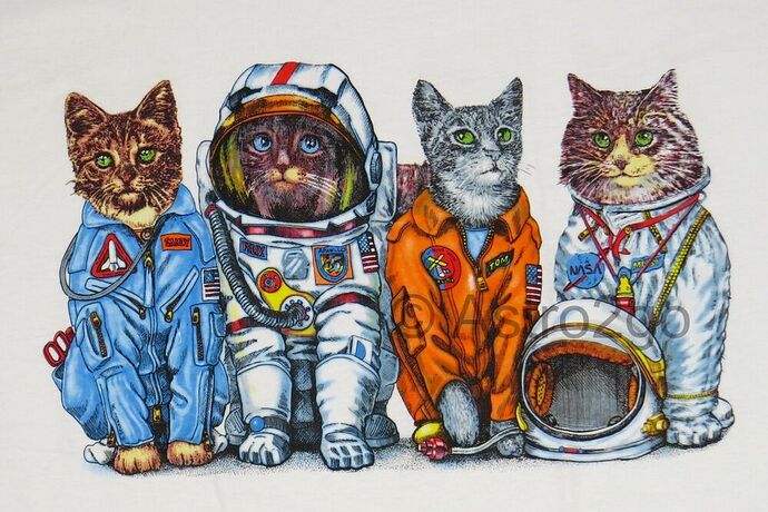 NASA cats s-l1000