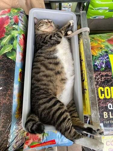 474517852_122187416786040671_2978616586124165351_n