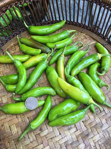 received_354451298860727