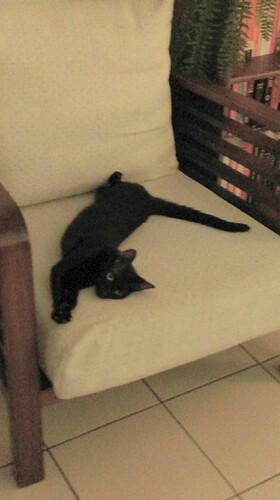 obd4b80e7d9ba4e6018c04efab2773d49_6146673_190905_0044