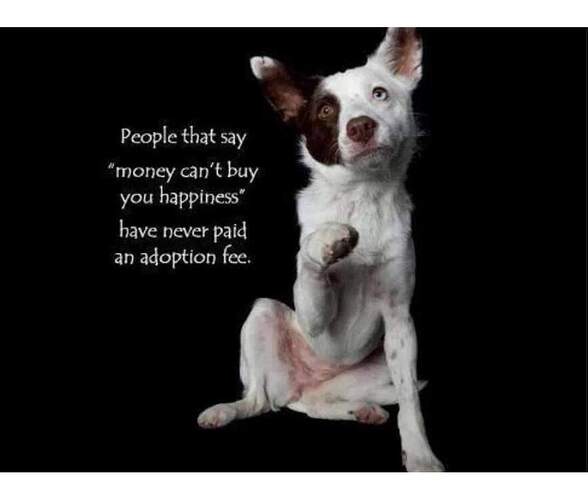 FB_IMG_1640085877254