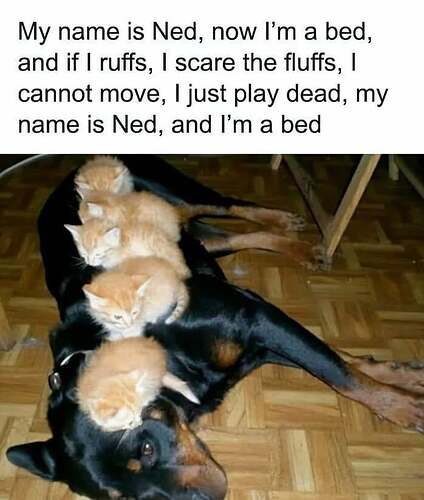 473498469_995272815958692_1162035437799712680_n