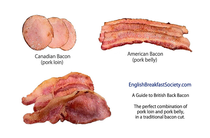 BaconGuide