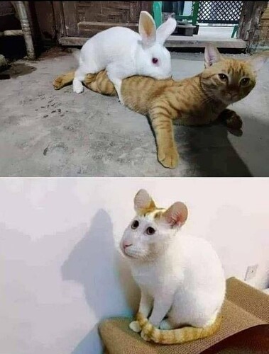 RDT_20210724_0034385881525081218482288~2