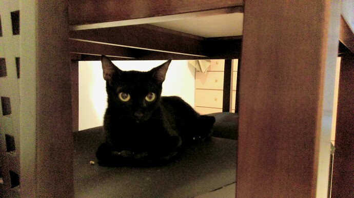 obd4b80e7d9ba4e6018c04efab2773d49_6146673_190905_0038