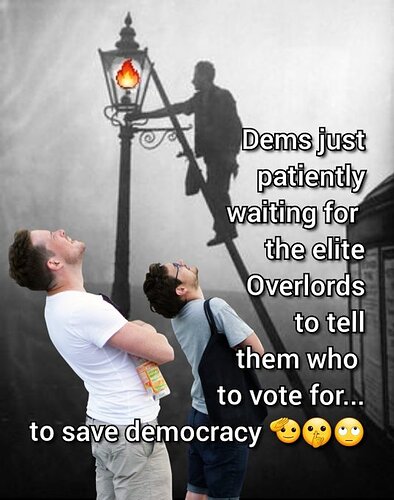 DEMOCRATS DEMOCRACY