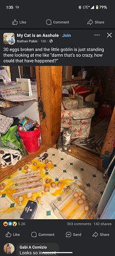 Screenshot_20250122-133543