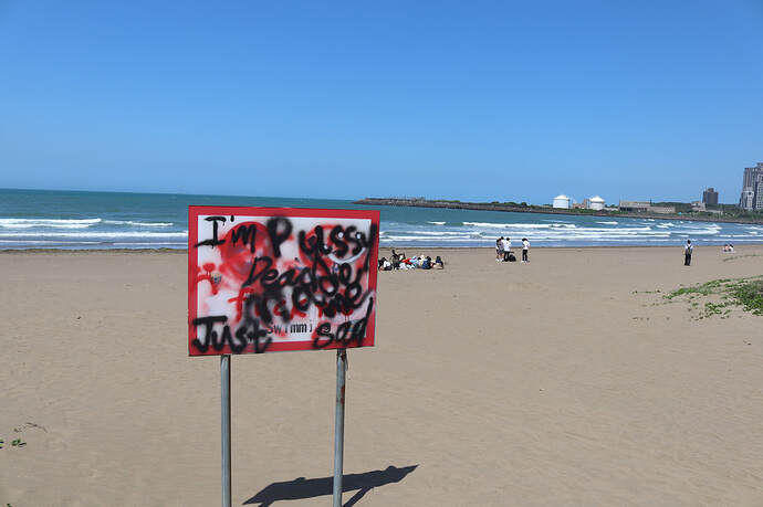 danshuibeach12-22_orig