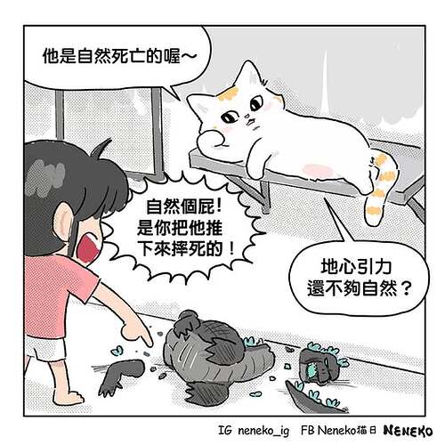 571334992_25862781886656910_2573154800675506159_n