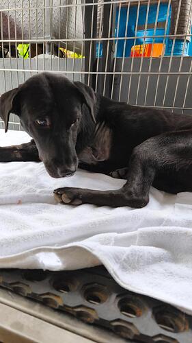 IMG_20251029_144043_599