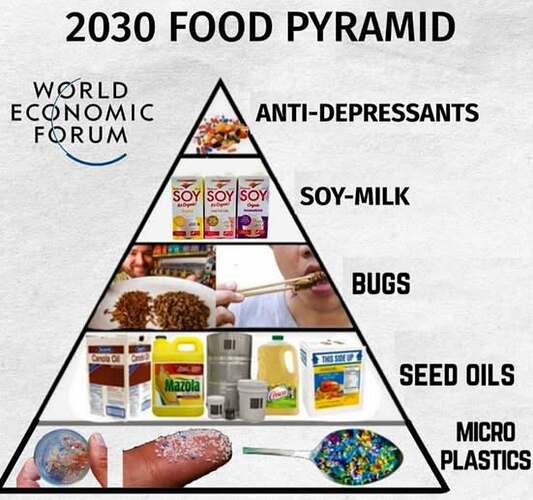 597804241_876426888249987_5700807511506850542_n