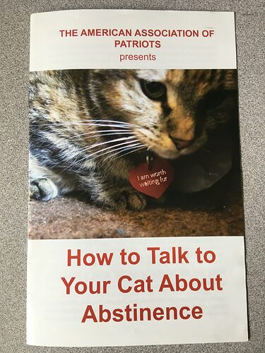 how to talk to your cat about abstinence IMG_9146-scaled