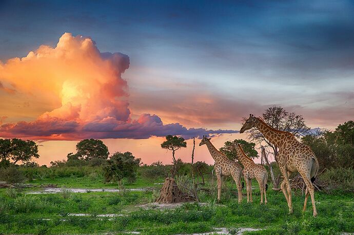 Stunning-African-Sunset