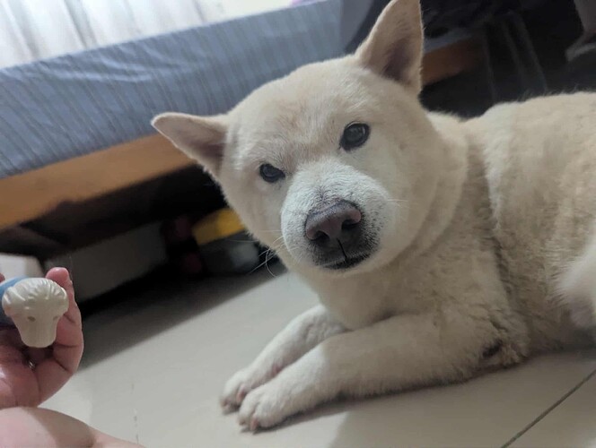 53f44550-871d-4dc6-b338-2ee2b7c953e2