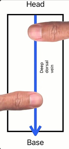 Screenshot_20260202_115753_Chrome