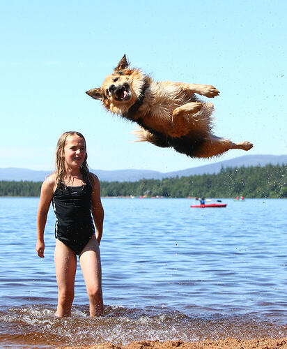 273264-g-tdy-110729-leaping-dog-01