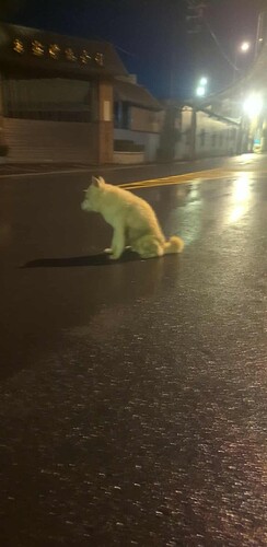 32ef3a3b-5360-4699-900b-46628995552b