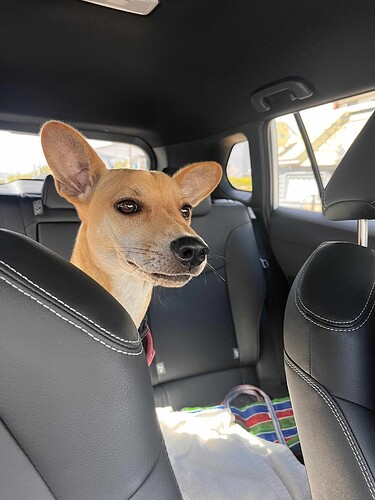 att.84DWdQHiW82Aa0SEc9-RW_n9DAZh_BzsoCl1lqzO3QI