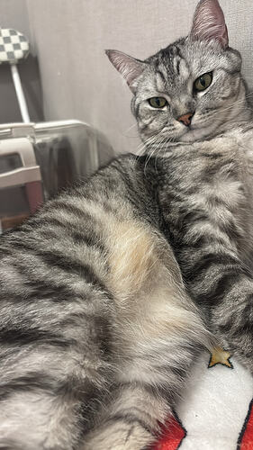 3E30ED00-2933-4B09-90D9-97B3086D8348