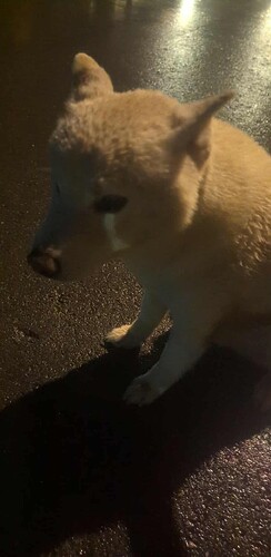 b7cc21e7-b46c-414c-9bac-0b3fe0284125