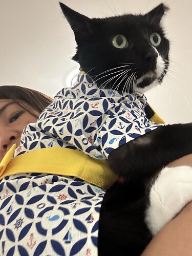 telegram-photo-0-5127540659475647338