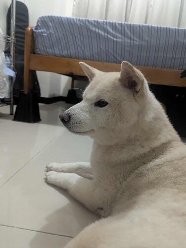 8a311895-d0c3-474f-95f0-fb5c61b634a9